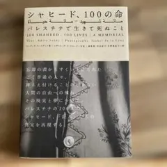 Item thumbnail for item 2ae96c02-9a53-4d3f-89dc-b20a38757c8c