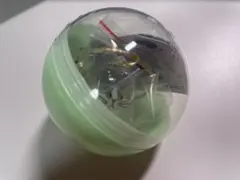 うちの子のけだまだま