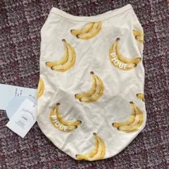 Item thumbnail for item 309631c9-930e-4a08-9be8-1e58e818c916