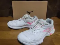 Item thumbnail for item 8d9c86ed-e3fd-449b-aba8-14392928eb46