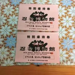 伊賀流忍者博物館 特別優待券 2枚セットのサムネイル