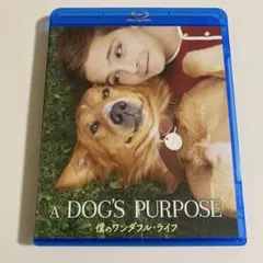 Item thumbnail for item 0509a609-1e41-4157-8385-76268661b650