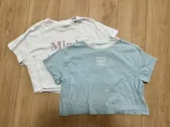 Item thumbnail for item e3d0d821-e4d1-4dd6-a716-320ce4944766