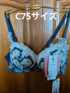 Wacoal 、Lge、ハッピーフイットブラジャー C75サイズのサムネイル