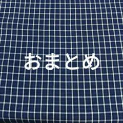 もふ様 リクエスト 2点 まとめ商品