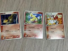 構築済みスターター アチャモデッキ アチャモ ワカシャモ バシャーモ 3枚セット