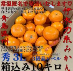 (#^.^#)ボイン♡ボイン♡大きいのが♡お好きな♡お父様用かしら〜ん❤️みかん❤️