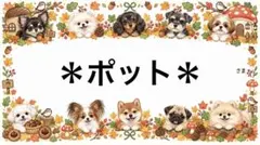 専用