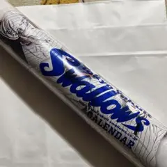 Item thumbnail for item b3c8f800-36a2-41bb-ac2b-665560319cd6