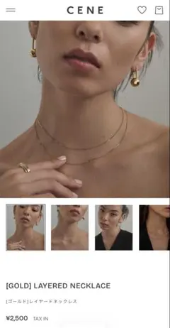 【美品】CENE サージカルステンレス　金属アレルギー対応　ネックレス