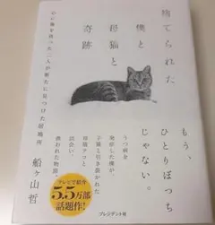 捨てられた僕と母猫と奇跡 : 心に傷を負った二人が新たに見つけた居場所