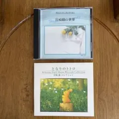 Item thumbnail for item 9bf06eea-5756-45ce-b8d5-49213e80cb34