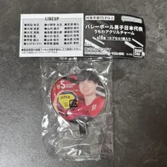 バレーボール男子日本代表 ガチャ うちわアクリルチャーム 大塚達宣