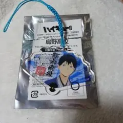 ハイキュー　レッツゴーキョート 影山飛雄