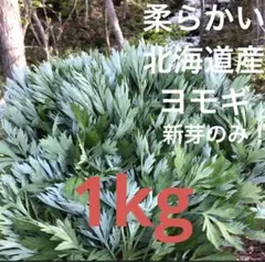 葉わさび 1kg 長野県産 検）ワサビ 沢さわび 花わさび 山菜 - メルカリ