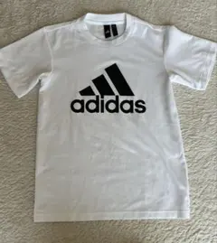 Item thumbnail for item d912e7ad-814f-4a2e-b52b-9d93d0d9b7c8