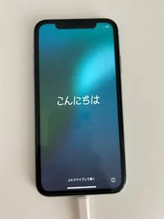 Apple iPhone11 本体