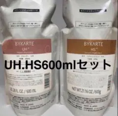 バイカルテ　UH HS 600 セットのサムネイル