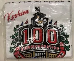 【新品】【未使用品】第100回全国高校野球選手権大会 記念タオル：甲子園：兵庫県