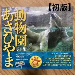 Item thumbnail for item d791f9c5-a15e-4ddc-96c6-efc40fdf5aa1