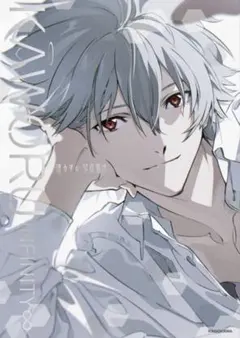 渚カヲル KAWORU INFINITY ゲーマーズ B2タペストリー 写真集 - メルカリ