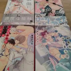 哀傷ビハインドヒート　嘘つきは溺愛のはじまり　計4冊　ｂＬコミックまとめ