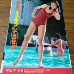 石川秀美/宇沙美ゆかり/岡田有希子/河合奈保子/森尾由美/伊藤麻衣子(水着) 石川秀美/宇沙美ゆかり/岡田有希子/河合奈保子/森尾由美/伊藤麻衣子