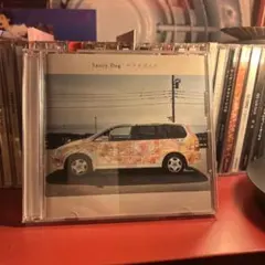 SaucyDog サラダデイズ CD アルバム