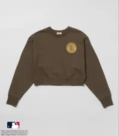 Item thumbnail for item 4b5b583f-6c4e-4dd7-98a9-a3c5e1c34ae6