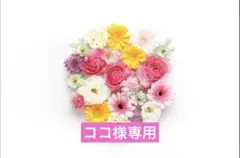 【ココ様専用ページ】