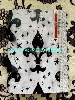 気まぐれ本日の特価品☆ジャンクジャーナル雑記帳(勲章/ダマスク) 束帳