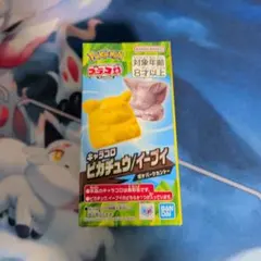ポケパーク カントー キャラコロ ピカチュウ イーブイ