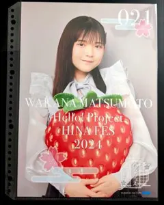 アンジュルム 竹内朱莉 コレクションピンナップポスター ピンポス