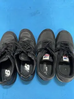 Item thumbnail for item 6d483eb0-e8a6-4cf1-a261-8c4013feb0b0