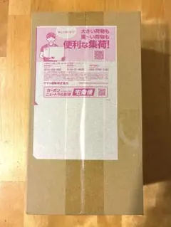 スペシャルBOX ポケモンセンタートウホク 再販分 完全未開封 - メルカリ