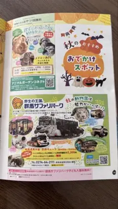 群馬サファリパーク 子ども入園料無料券 2027年1月31日まで
