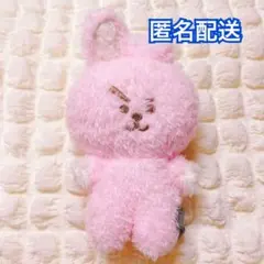 未使用 BTS BT21 COOKY ジョングク グク ぬいぐるみ マスコット