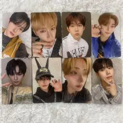 ALD1 EUPHORIA タワレコ ラキドロ B トレカ 8種