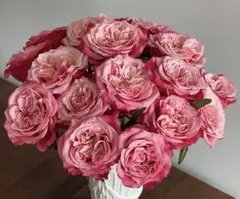 2026年最新】バラ苗 切花の人気アイテム - メルカリ