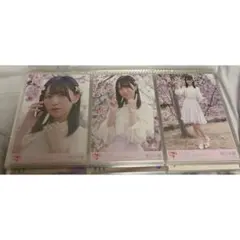 LOVE 野口衣織 桜の咲く音がした - メルカリ