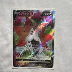 2026年最新】蒼空ストリーム パックの人気アイテム - メルカリ