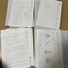 2026年最新】浜学園小1の人気アイテム - メルカリ