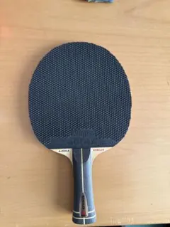 11/30までの限定価格JOOLA Nobilis ノビリス