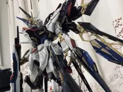 PG ストライクフリーダムガンダム　塗装済み完成品　絶版ガレージキット組み立て済のサムネイル