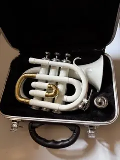 2025年最新】ポケット トランペットの人気アイテム - メルカリ