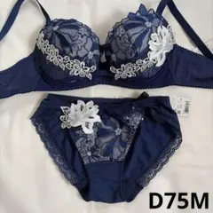 RAVIJOUR リリーサテン ビューティーリフトブラ3点セット E75 M RAVIJOUR リリーサテン ビューティーリフトブラ3点セット E75 M - メルカリ