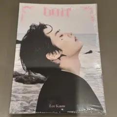 STRAY KIDS スキズ DO IT リノ アコーディオン 新品未開封