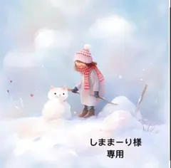 しままーり様 リクエスト 4点 まとめ商品