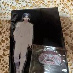 straykids VR リノ　ランダムアクスタ