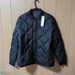 Item thumbnail for item 16c00196-4381-439f-bca1-23714f55acd5